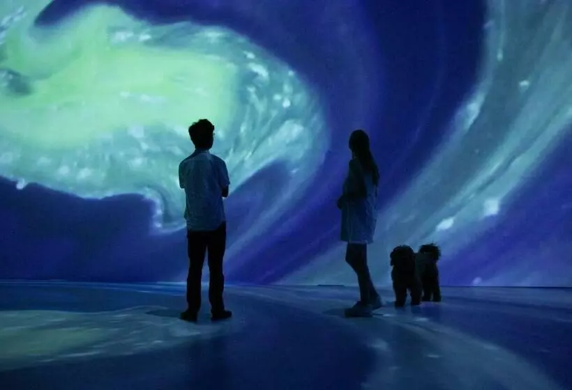 ホテル La Casa De Los árboles Immersive Experience