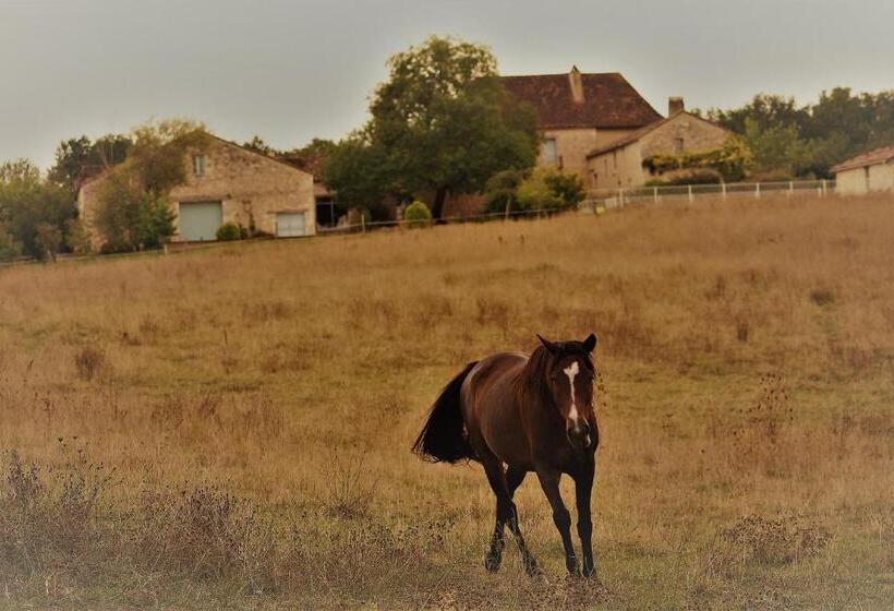 ベッドアンドブレックファースト Chambre D Hôte La Source Domaine De Fonpeyroune