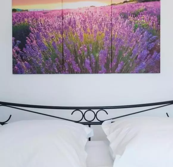 Aamiaismajoitus (B&B) Etoilevacances Chambres D Hotes Campagne En Lavande