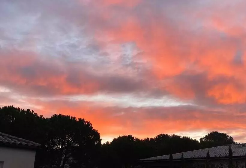 Aamiaismajoitus (B&B) La Rosela De La Cité