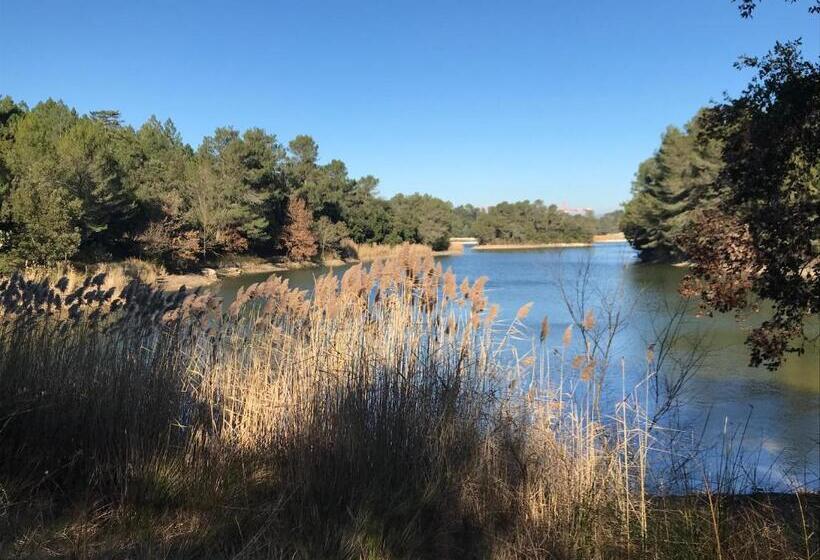 مبيت وإفطار La Rosela De La Cité
