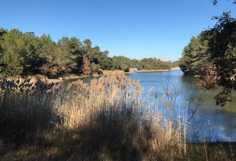 Aamiaismajoitus (B&B) La Rosela De La Cité