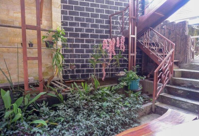 Szálloda Reddoorz Syariah Near Terminal Mendolo Wonosobo 2