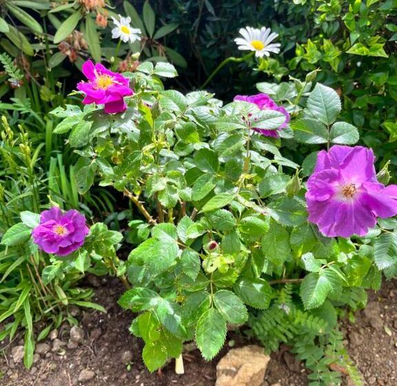 펜션 Le Mas De Retheuil