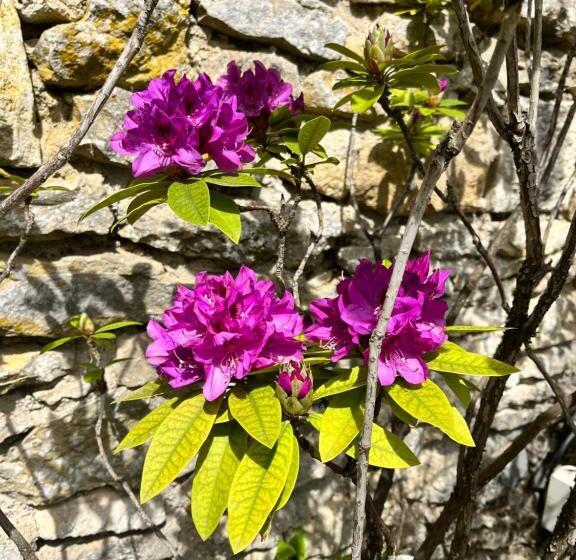 펜션 Le Mas De Retheuil