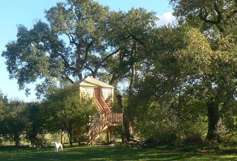 渡假胜地  Les Robinsonades