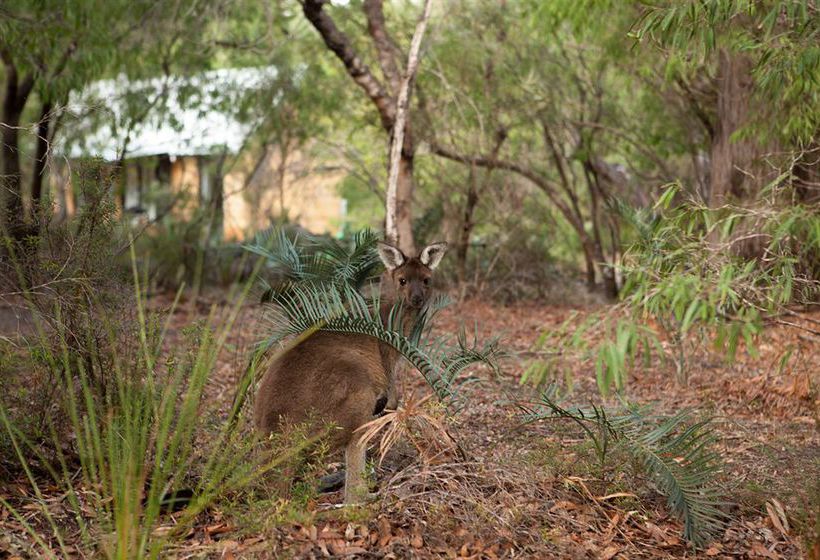 Bussells Bushland Cottages