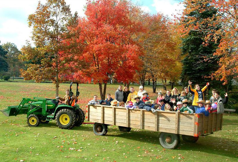 Chestnut Grove Resort