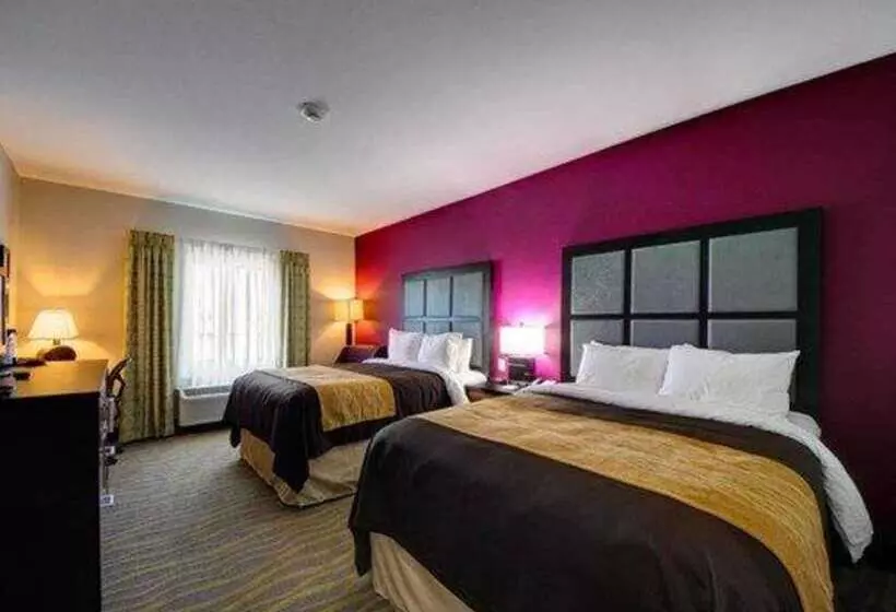 ホテル Comfort Inn & Suites Tulsa I44 West  Rt 66