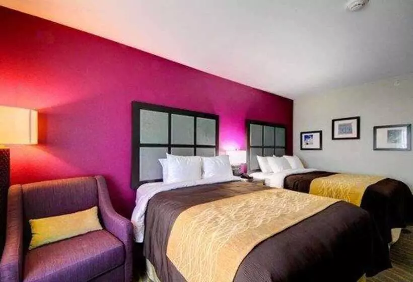 ホテル Comfort Inn & Suites Tulsa I44 West  Rt 66