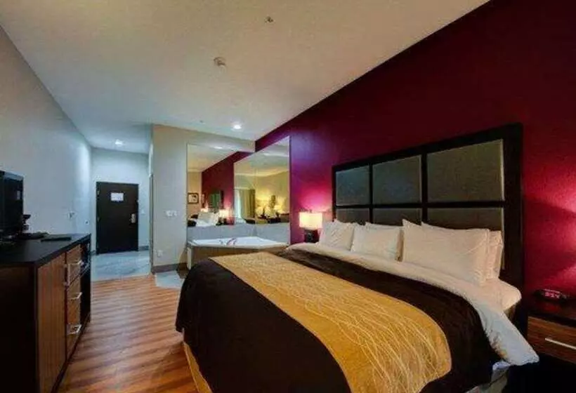 ホテル Comfort Inn & Suites Tulsa I44 West  Rt 66