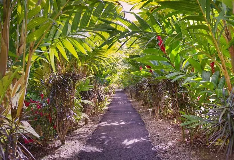 酒店 Heliconias Nature Inn & Hot Springs