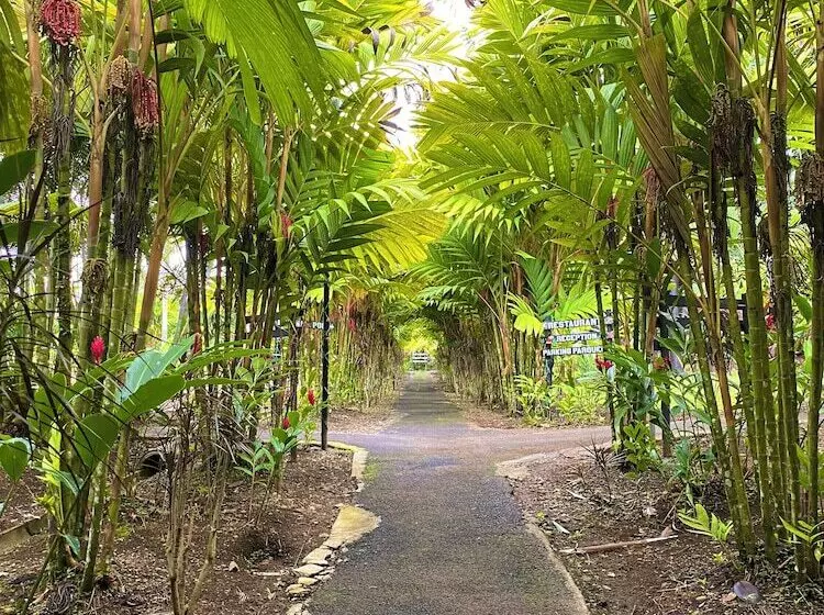 酒店 Heliconias Nature Inn & Hot Springs