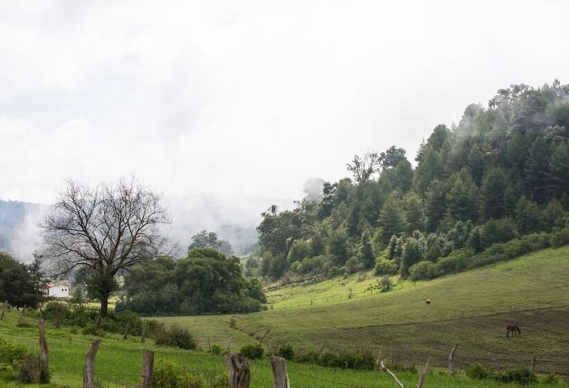 בית מלון כפרי La Casona