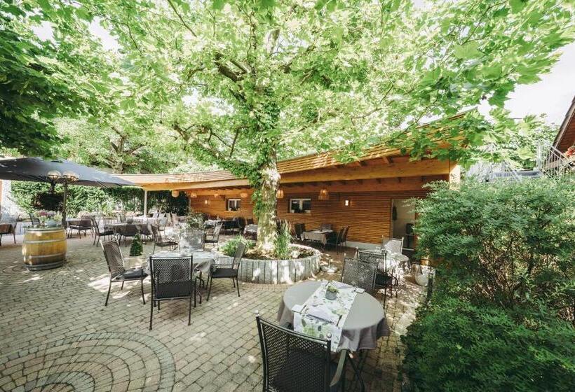 Pflugwirts Hotel Und Gasthaus