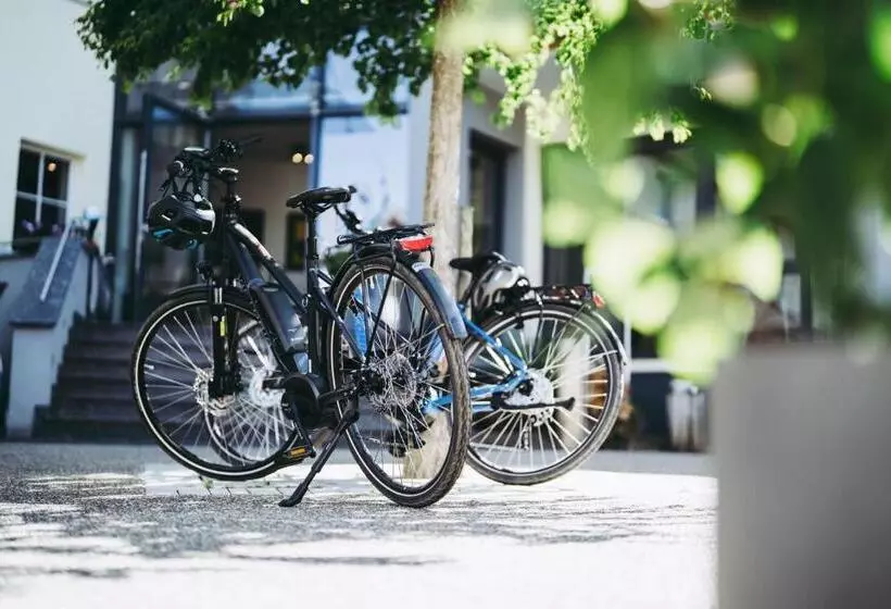 Pflugwirts Hotel Und Gasthaus