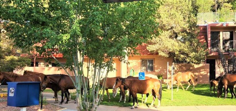 فندق Pinecliff Village Resort