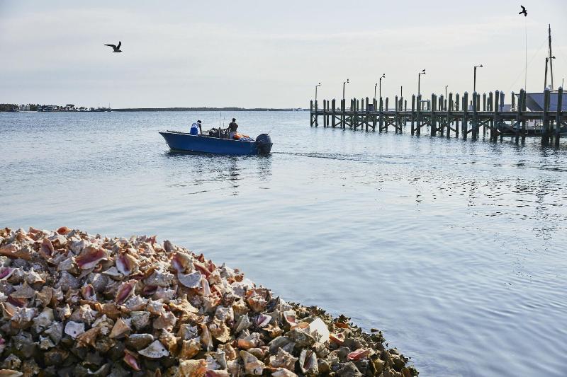 هتل Rosewood Baha Mar