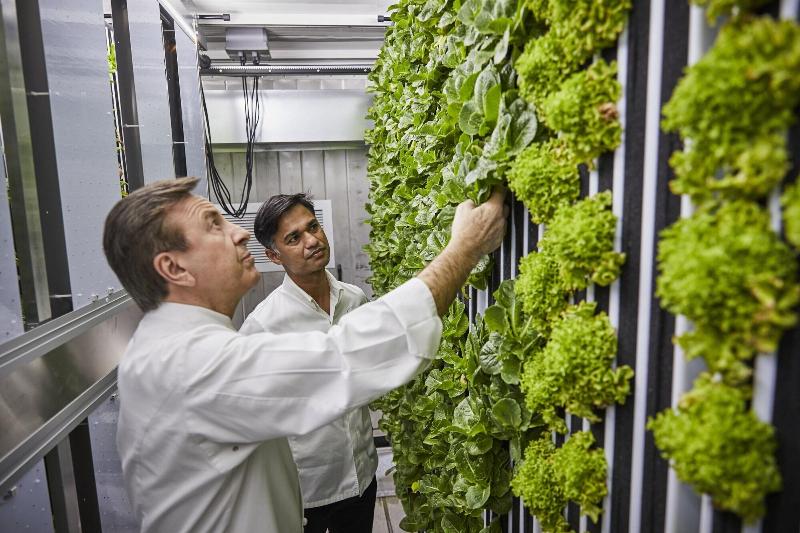 هتل Rosewood Baha Mar