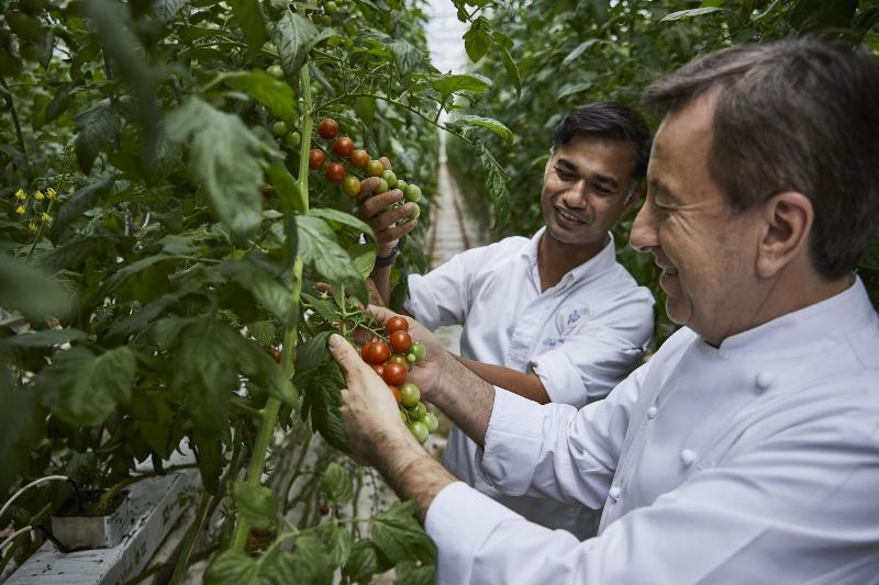 هتل Rosewood Baha Mar