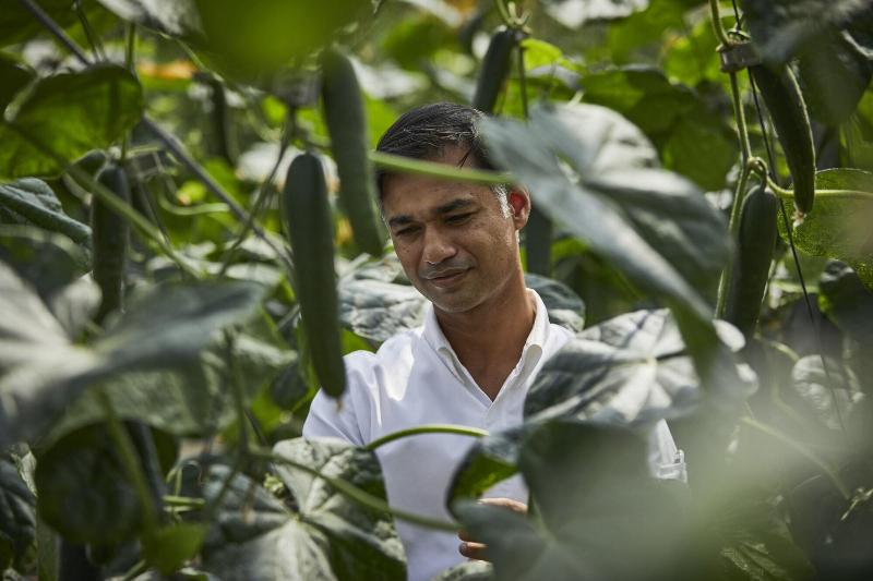 هتل Rosewood Baha Mar