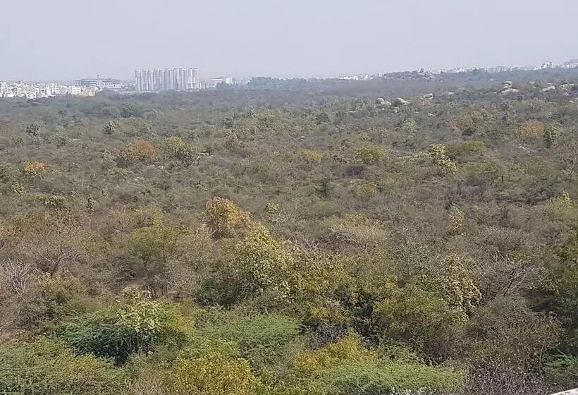 Отель The Palazzo