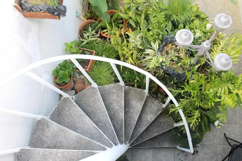 膳宿费 Tazumal House