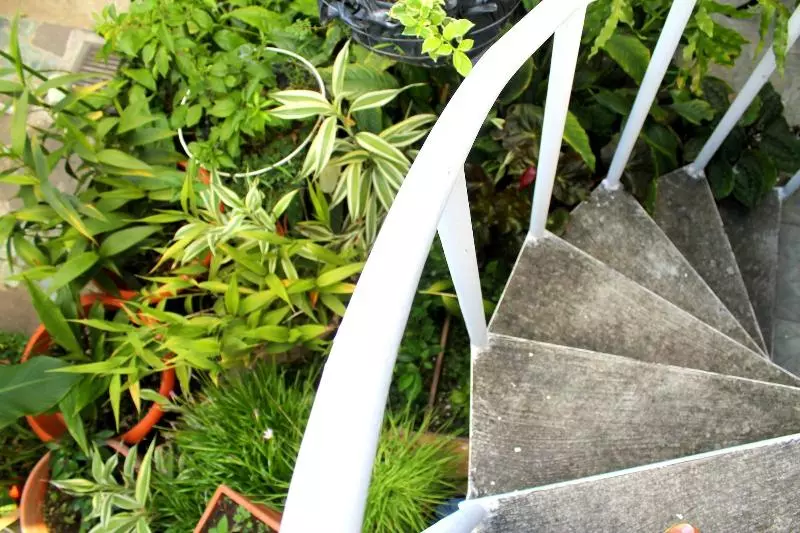 膳宿费 Tazumal House