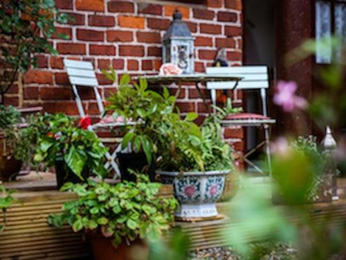 ペンション The Shepherd S Purse