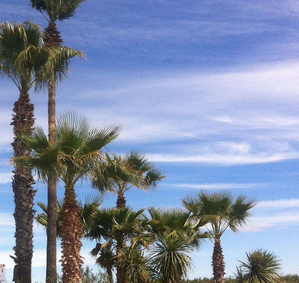 هتل Sunelia Domaine De La Dragonnière