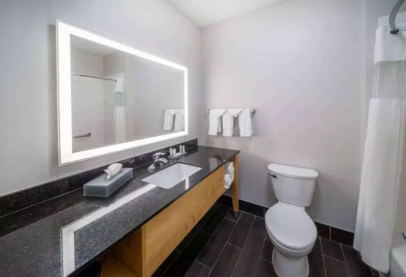 酒店 La Quinta By Wyndham Wichita Falls   Msu Area