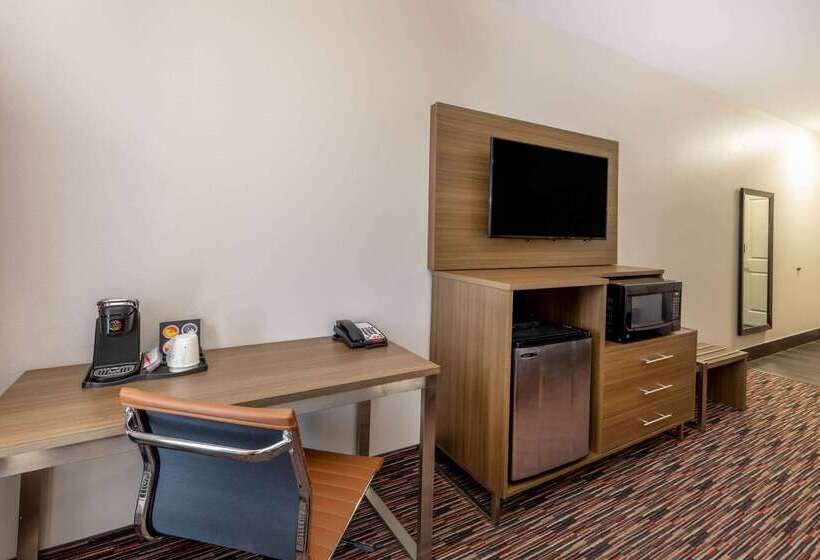 Otel La Quinta By Wyndham Wichita Falls Msu Area