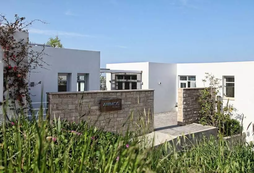 בית מלון כפרי Skyros Ammos
