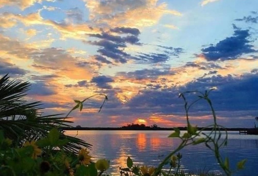 Bed and Breakfast Black Dolphin Inn