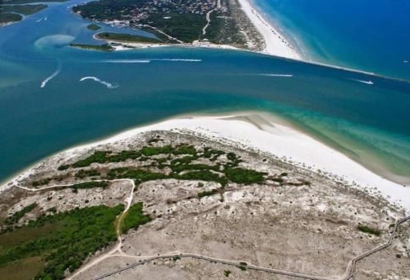 Bed and Breakfast Black Dolphin Inn