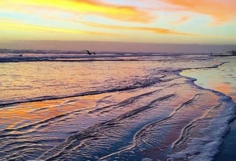 Bed and Breakfast Black Dolphin Inn