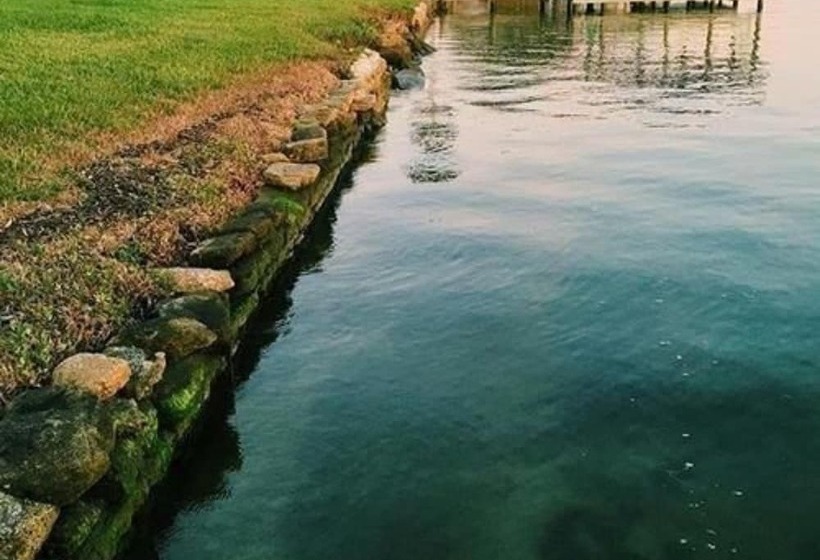 Bed and Breakfast Black Dolphin Inn