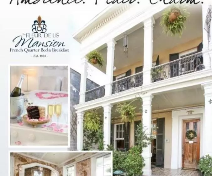 ベッドアンドブレックファースト Fleur De Lis Mansion