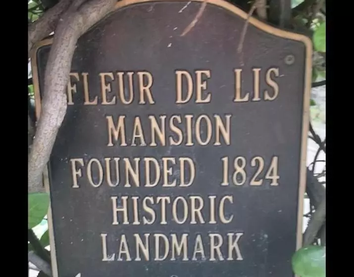 ベッドアンドブレックファースト Fleur De Lis Mansion