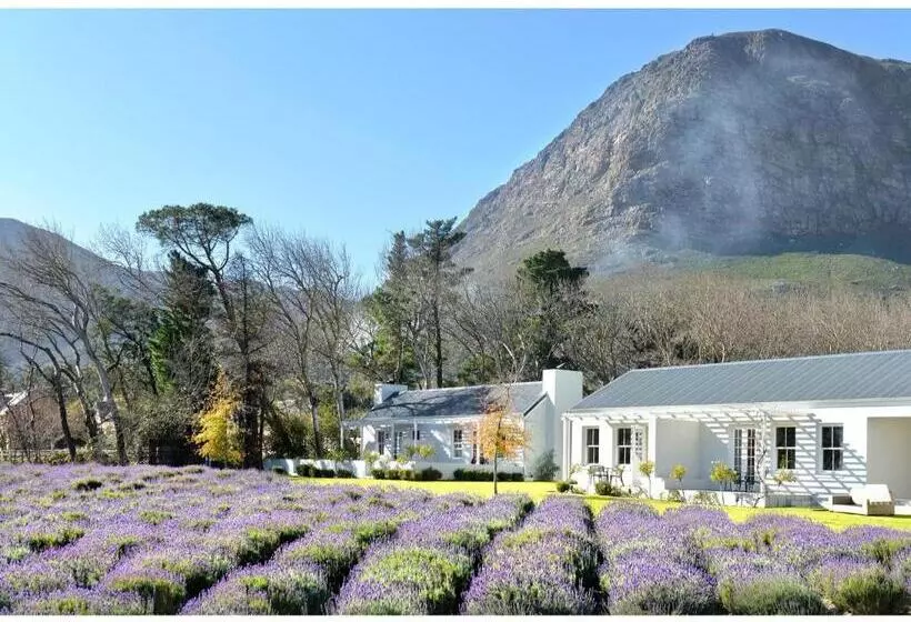 Aamiaismajoitus (B&B) Lavender Farm Guest House