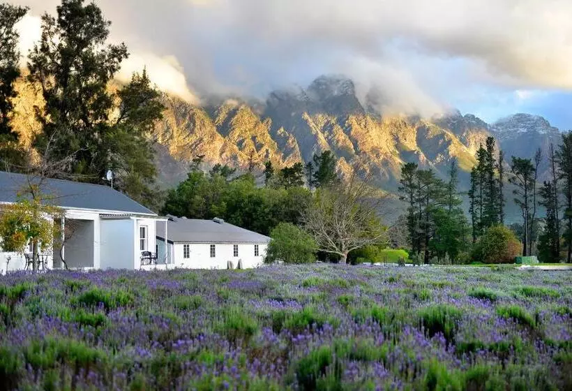 Aamiaismajoitus (B&B) Lavender Farm Guest House