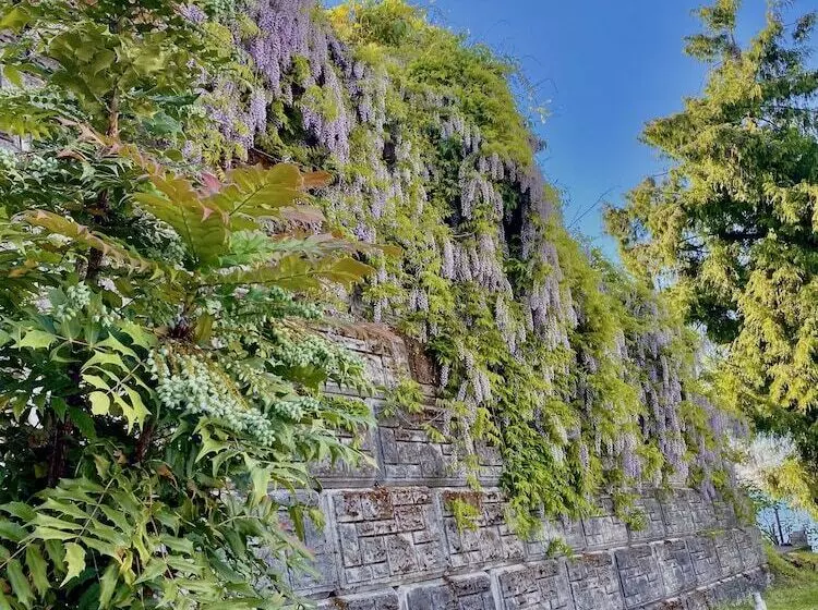 Eagle Rock Bed And Breakfast