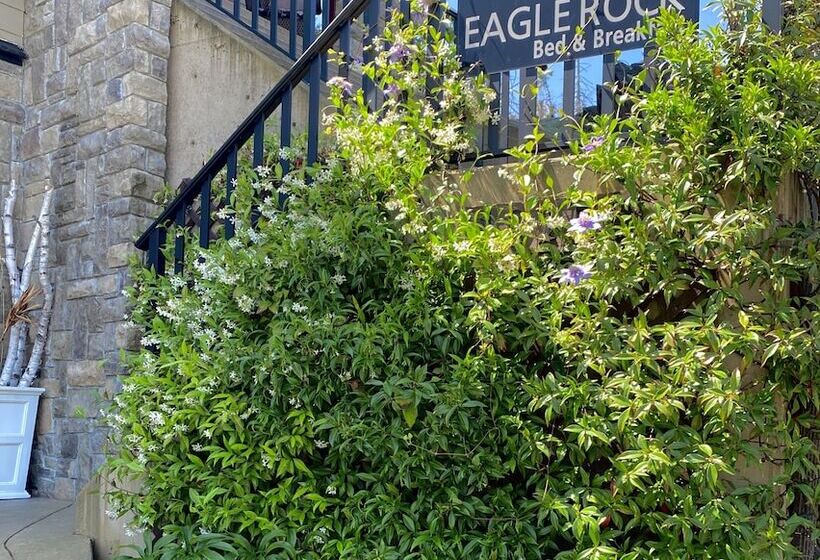 Eagle Rock Bed And Breakfast