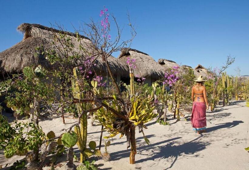 Escondido, Puerto Escondido, A Member Of Design Hotels   Adults Only