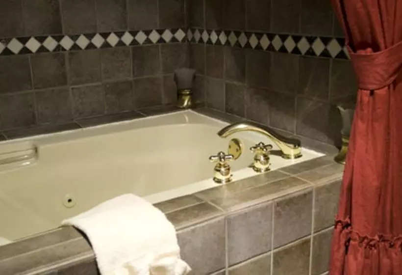 ホテル Excelsior Inn