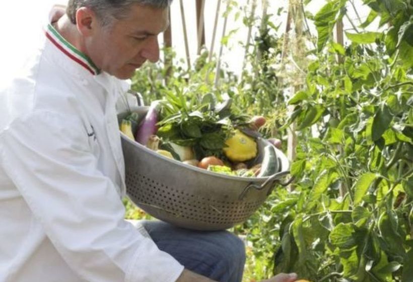 فندق Excelsior Inn