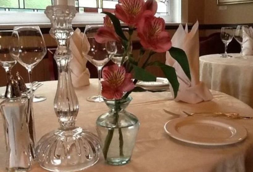 فندق Excelsior Inn