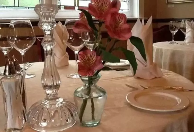 ホテル Excelsior Inn