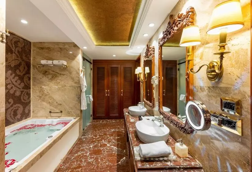 Отель Express Inn The Business Luxury