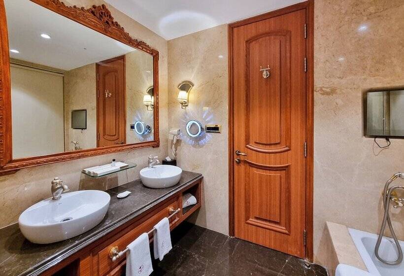 酒店 Express Inn The Business Luxury